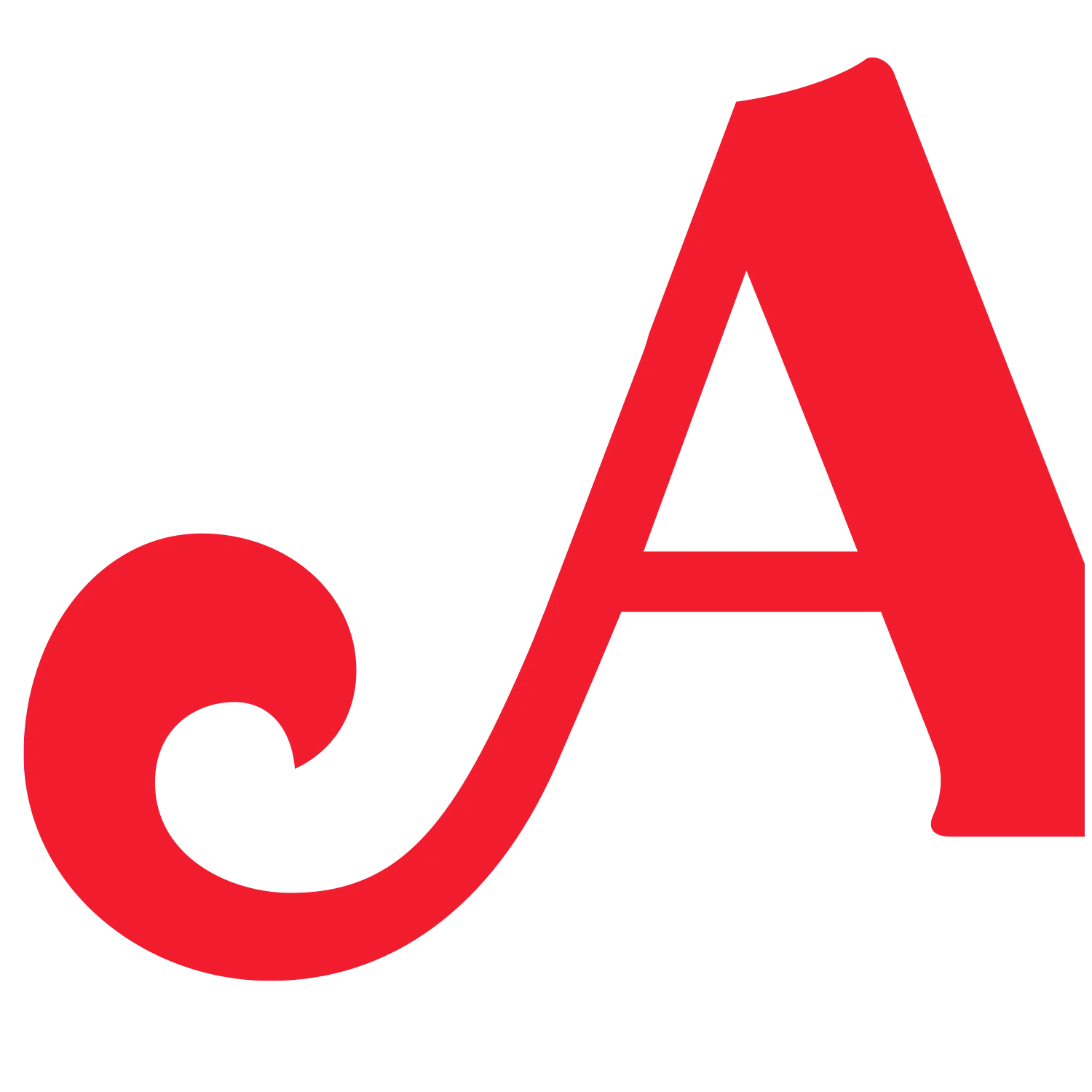 productos-arquelladas